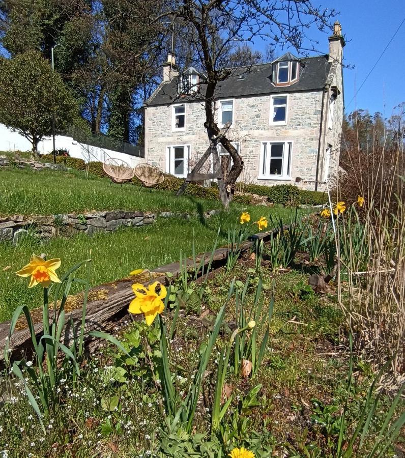 דאפטאון Abbeyfield B&B מראה חיצוני תמונה